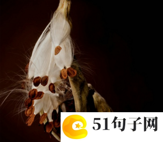 关于五月天歌词的网名 笨蛋永远多远。 