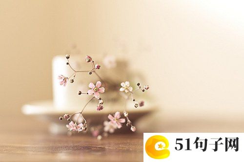 昵称女生优雅、孤心冷 