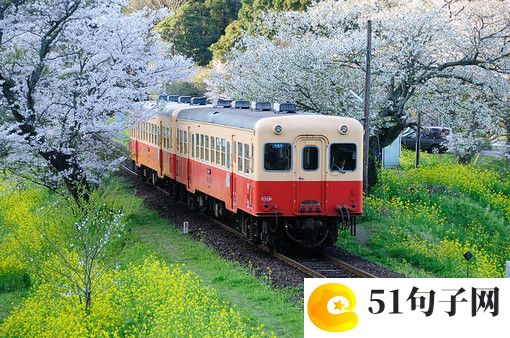 冷门的独特昵称、清风瘦马 