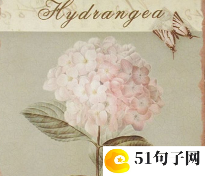 寓意好又大气的男孩名 