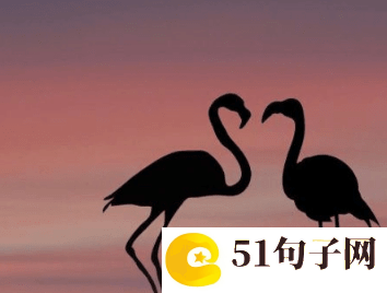 男生帅气冷酷网名大全最新版