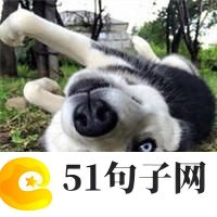 适合网红用的网名