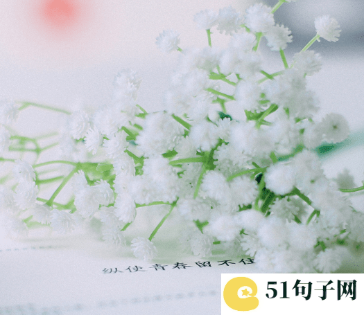 时尚新潮的非主流名字 