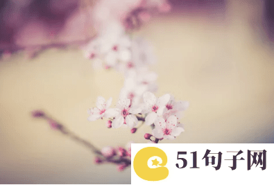 三个字的网名唯美清纯 安雅兒 
