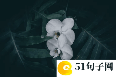 QQ情侣网名一男一女简单又好听 