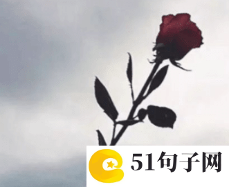 失恋了彻底寒心的繁体字网名分享_过⒈把爱尒の瘾 