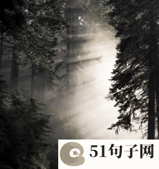 带情感的网名