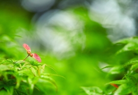 最新个性英文网名男生高冷 