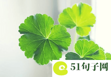 搞笑有意思的网名 
