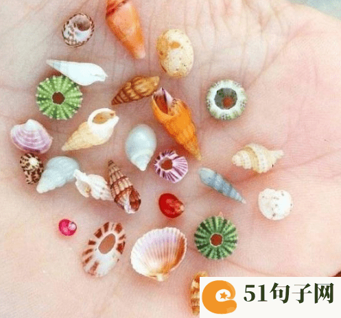三个字的网名优雅好听 