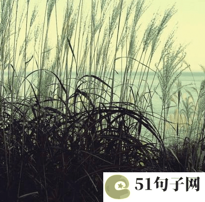 唯美好听的帮派名字 