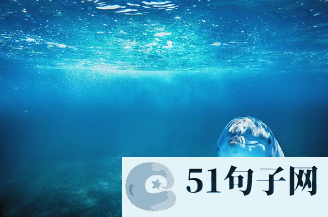 最流行的微信网名 