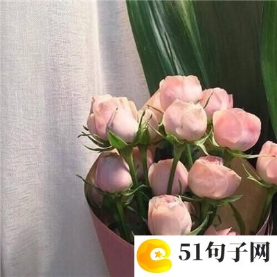 温柔漂亮干净的女生名字 