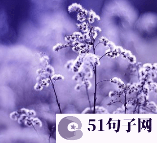 电竞战队名字怎么取 