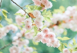 2019一个字网名 ❀最痛的痛是离开*╮ 