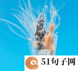 三字情侣网名、陪他笑^|伴她闹^ 