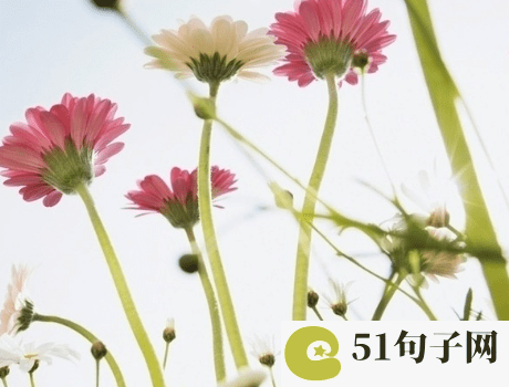 文艺气息阳光女孩名字