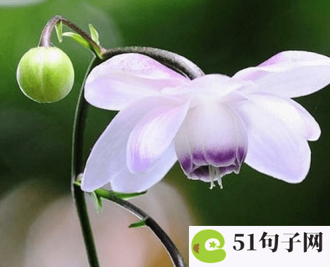 1个字好听的网名丧 #旧哑扇的夏天# 