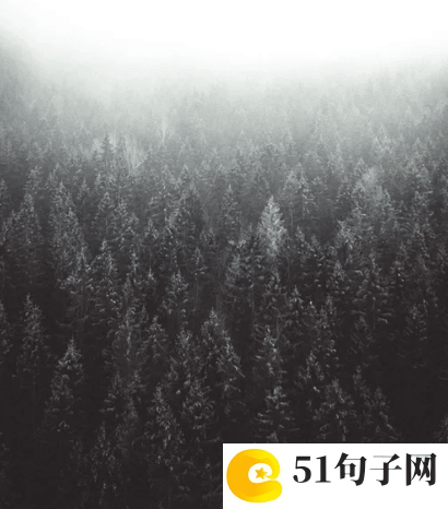 男人网名简单大气 可能从未爱过 