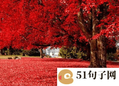 最霸气的1个字网名 