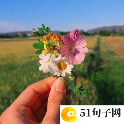 男生幽默网名 