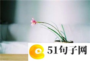 最流行的繁体字网名大全 