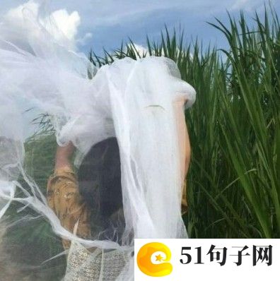 霸气拉风英文战队名字 