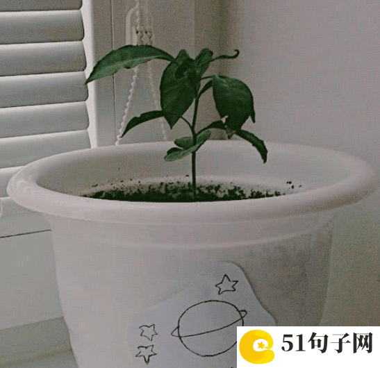 英雄联盟好看的英文名 ╚