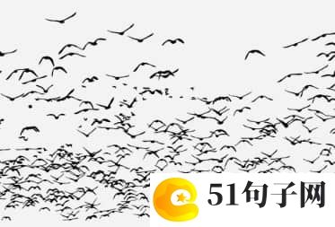 八个字扣扣网名 