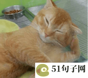 青春非主流昵称、&rarr;_&ra 