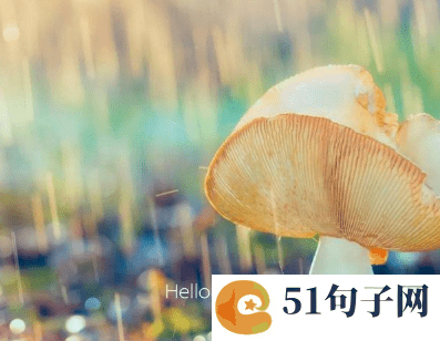 微信昵称英文有意义简短