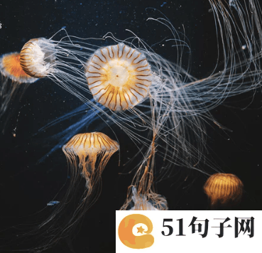 2022幸福甜蜜的情侣个性昵称 