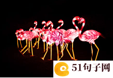 不超6个字情侣网名、乀无尽的掠夺|乀不悔 
