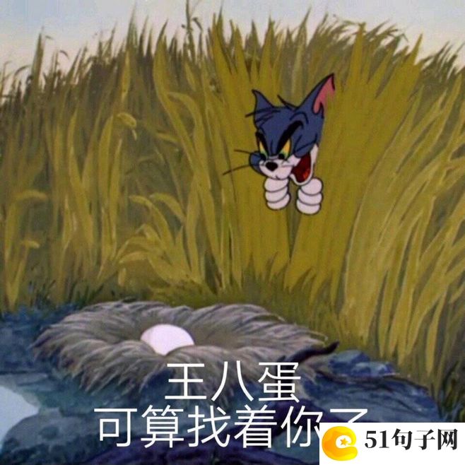 女孩网名优雅大气简短 