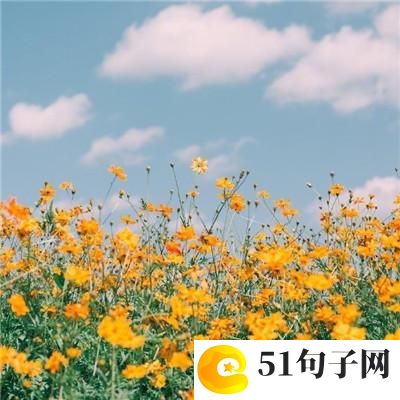 搞笑网名能笑死人的昵称 