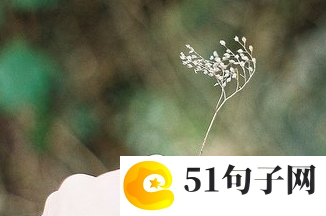 男生暖心网名 生活不止爱情 