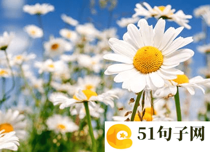 六字押韵唯美古风网名情侣一对 