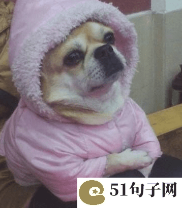 情的悲伤网名、♡你了解女人么、♡ 