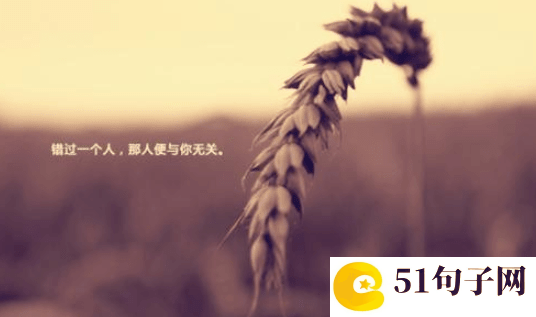 气质特别有魅力的女生网名 