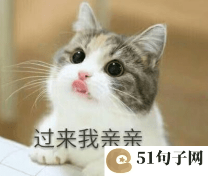 一眼惊艳的古风名字四字 