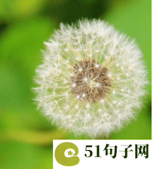 好听温柔到爆的战队名 