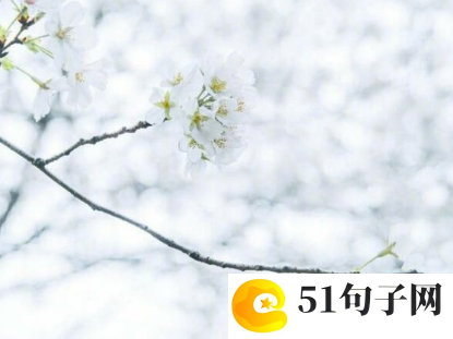 00后qq网名女生
