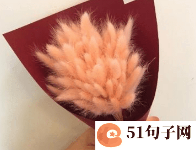 梦幻西游符号小尾巴复制 