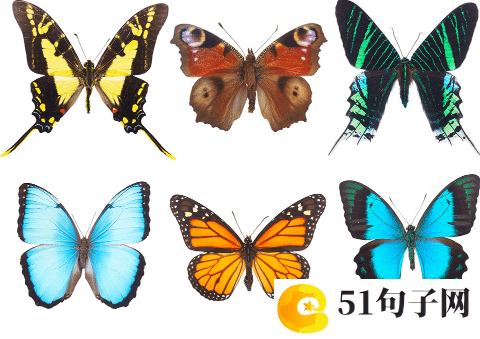 八个字的游戏名字 一眼柔情，半世哀伤 