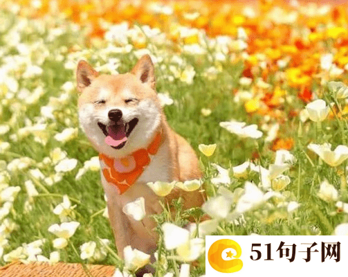 绝地求生文艺点的游戏名字 