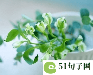 有内涵的成语网名 找个地儿搬砖
