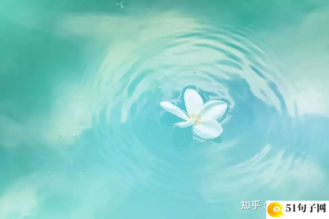 对一个人心凉了的昵称推荐 