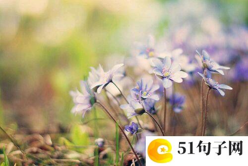 陌陌取什么名字吸引人、**丶Blue_sk 
