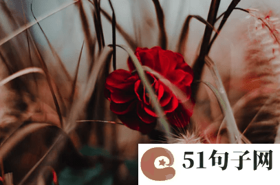 六个字的女生网名_拥抱你的背影つ 