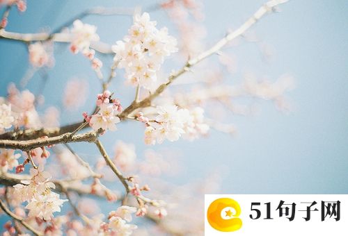 吃鸡名字超拽霸气 